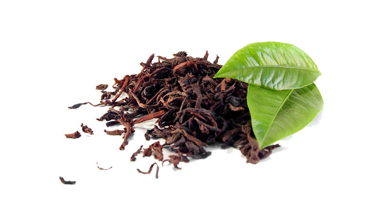 perkebunan-daun-teh